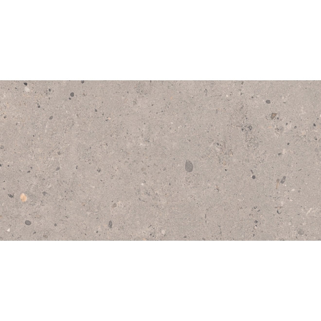 Pastorelli Biophilic Wand- und Bodenfliese Grey 30x60 cm