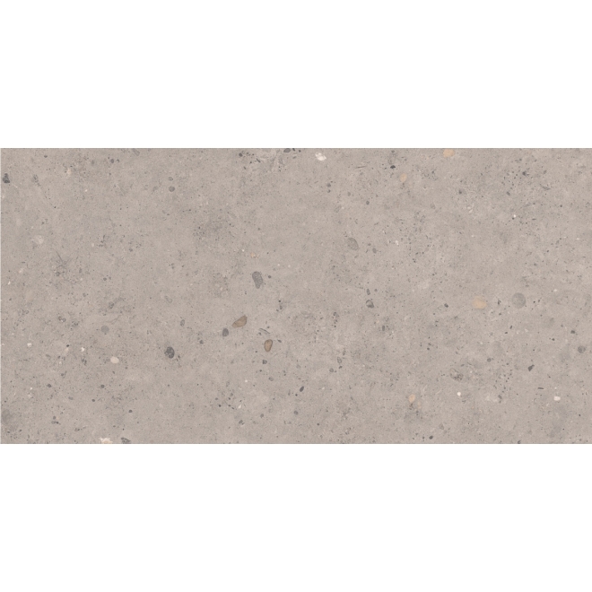 Pastorelli Biophilic Wand- und Bodenfliese Grey 60x120 cm
