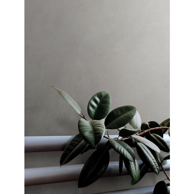 PrimeCollection Timeline Boden- und Wandfliese Grey 60x120 cm