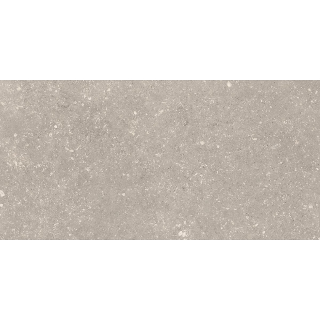 Cotto d'Este Legend Fossil Grey Natural Boden- und Wandfliese 30x60 cm