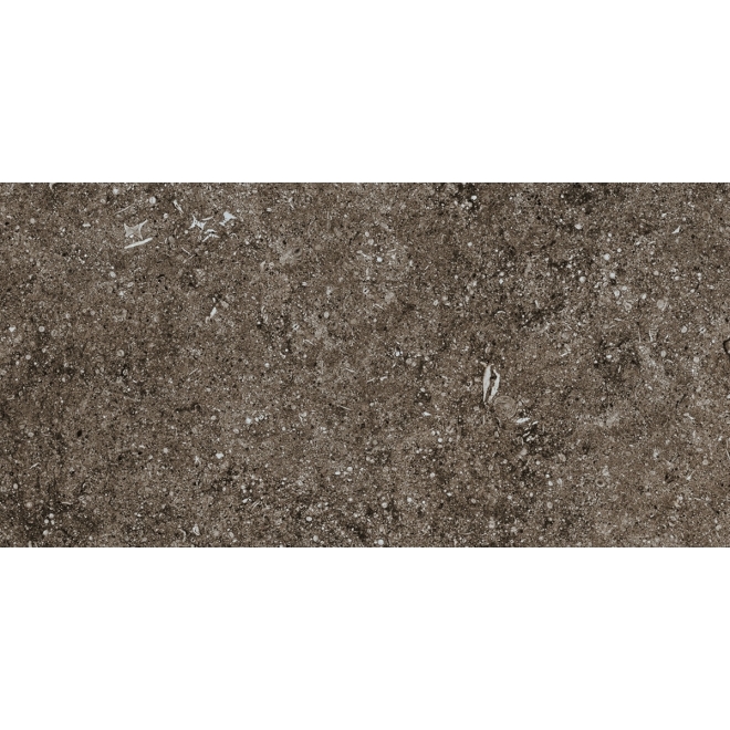 Florim Creative Design Sensi Brown Fossil Natural Boden- und Wandfliese 40x80 cm