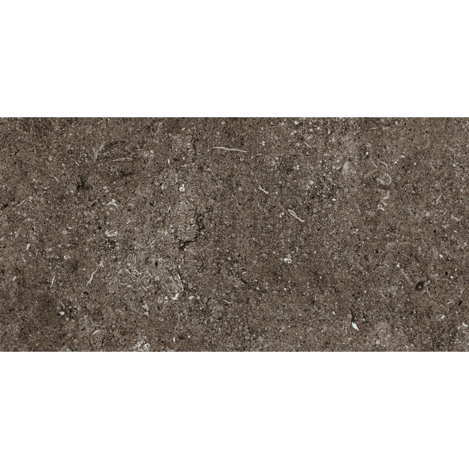 Florim Creative Design Sensi Brown Fossil R+PTV Boden- und Wandfliese 40x80 cm