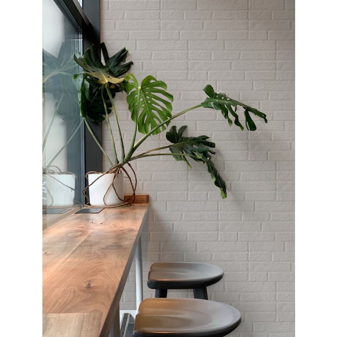 PrimeCollection XOne Poudre Set Wanddekor 30x60 cm