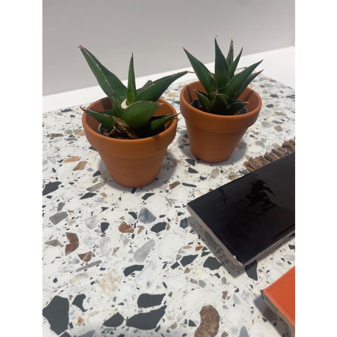 Revoir Paris Re-Bel Mix matt Boden- und Wandfliese 60x60 cm