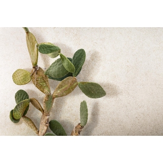 Florim Creative Design Sensi White Lithos Natural Boden- und Wandfliese 80x80 cm