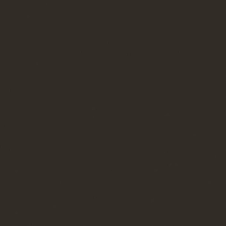 PrimeCollection Paris Bodenfliese und Wandfliese Nero 20x20 cm