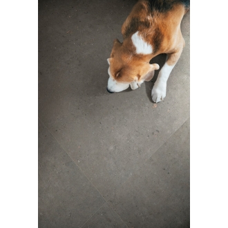 Pastorelli Biophilic Wand- und Bodenfliese Dark Grey 20x120 cm