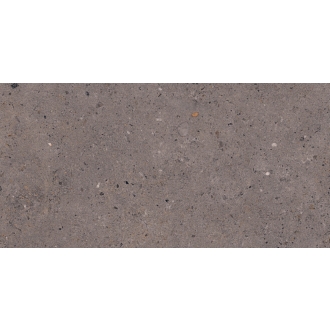 Pastorelli Biophilic Wand- und Bodenfliese Dark Grey 30x60 cm