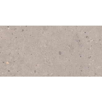 Pastorelli Biophilic Wand- und Bodenfliese Grey 30x60 cm