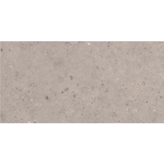 Pastorelli Biophilic Wand- und Bodenfliese Grey 60x120 cm