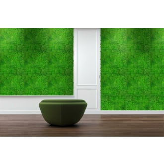 PrimeCollection Akustik Wandpaneel Rich Green Moos 52x52 cm