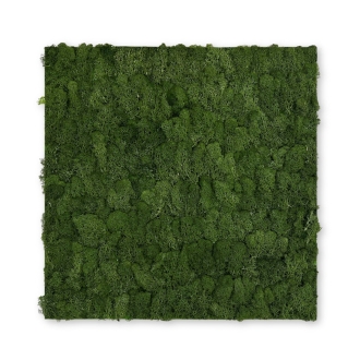 PrimeCollection Akustik Wandpaneel Dark Green Moos 52x52 cm