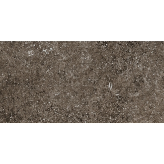 Florim Creative Design Sensi Brown Fossil Natural Boden- und Wandfliese 40x80 cm