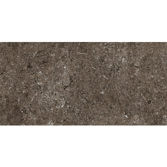 Florim Creative Design Sensi Brown Fossil R+PTV Boden- und Wandfliese 40x80 cm