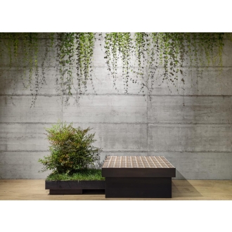 Fliese Sant Agostino Form in der Farbe Cement verlegt hinter einer Pflanze und einer Sitzmöglichkeit