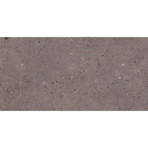 Pastorelli Biophilic Wand- und Bodenfliese Dark Grey 30x60 cm