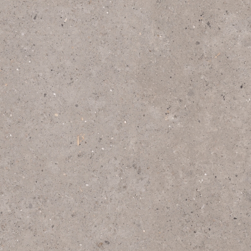 Pastorelli Biophilic Wand- und Bodenfliese Grey 120x120 cm