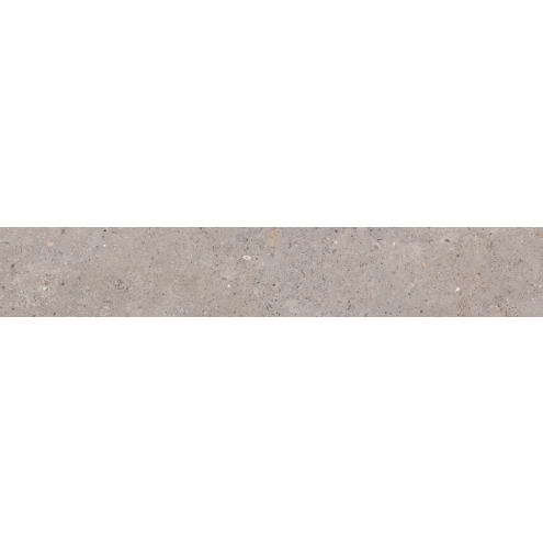 Pastorelli Biophilic Wand- und Bodenfliese Grey 20x120 cm
