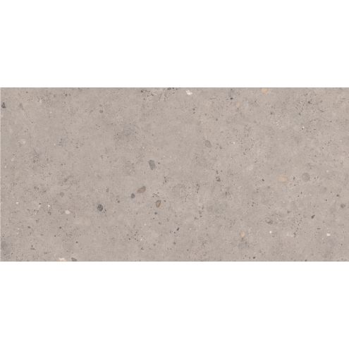Pastorelli Biophilic Wand- und Bodenfliese Grey 60x120 cm