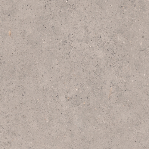 Pastorelli Biophilic Bodenfliese Grey 60x60 cm GRIP