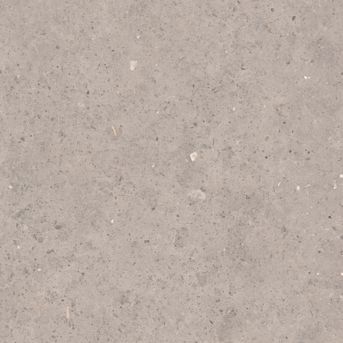 Pastorelli Biophilic Wand- und Bodenfliese Grey 80x80 cm