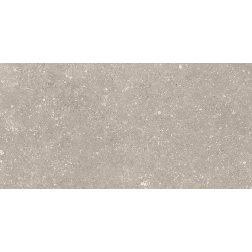 Cotto d`Este Legend Fossil Grey Natural Boden- und Wandfliese 30x60 cm