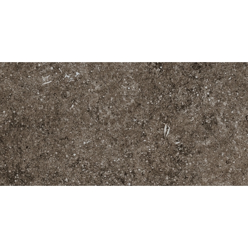 Florim Creative Design Sensi Brown Fossil Natural Boden- und Wandfliese 40x80 cm