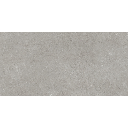 Florim Creative Design Sensi Grey Fossil Natural Boden- und Wandfliese 60x120 cm