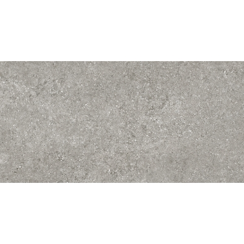 Florim Creative Design Sensi Grey Fossil Natural Boden- und Wandfliese 60x120 cm 6mm