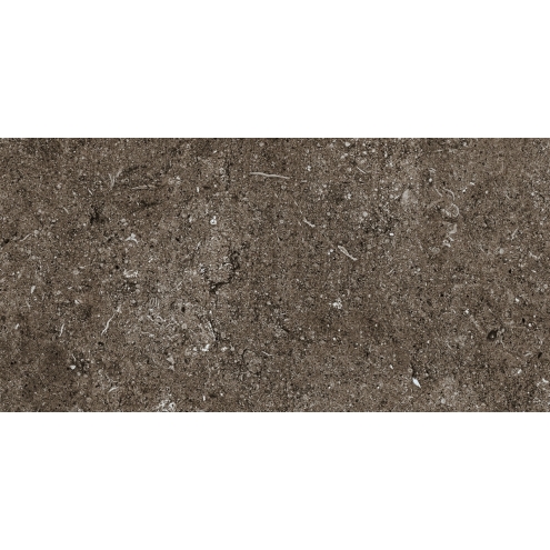 Florim Creative Design Sensi Brown Fossil R+PTV Boden- und Wandfliese 40x80 cm