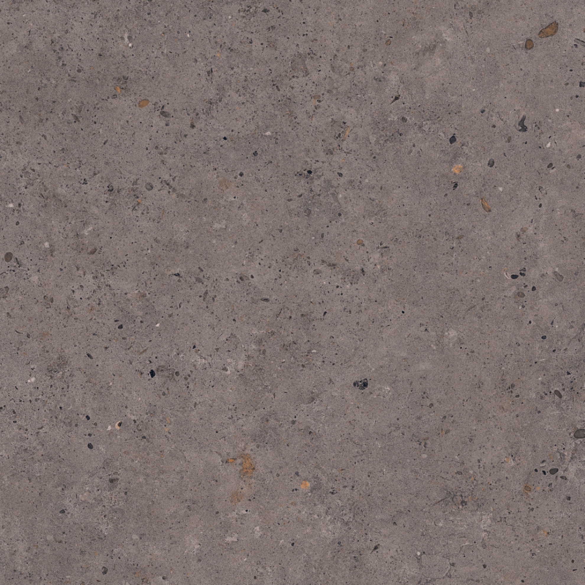 Pastorelli Biophilic Wand- und Bodenfliese Dark Grey 80x80 cm