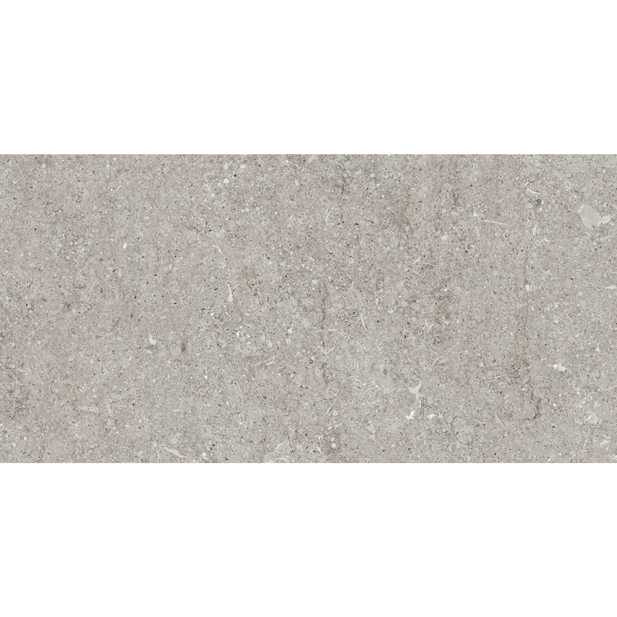 Florim Creative Design Sensi Grey Fossil Natural Boden- und Wandfliese 40x80 cm