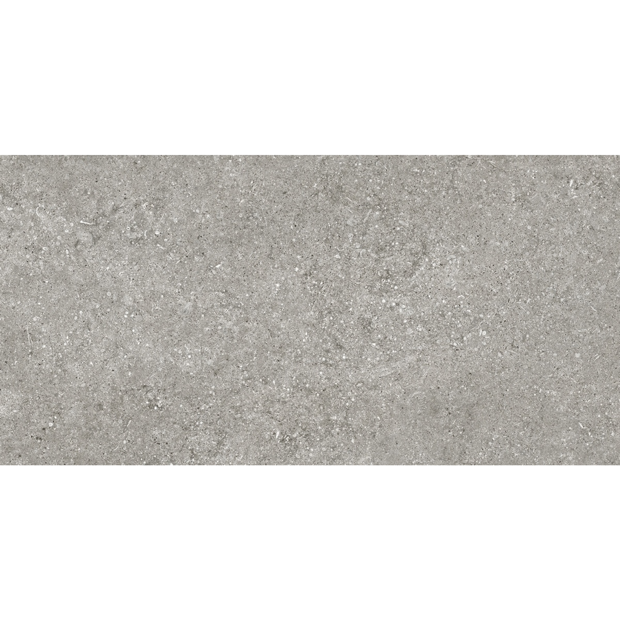 Florim Creative Design Sensi Grey Fossil Natural Boden- und Wandfliese 60x120 cm 6mm