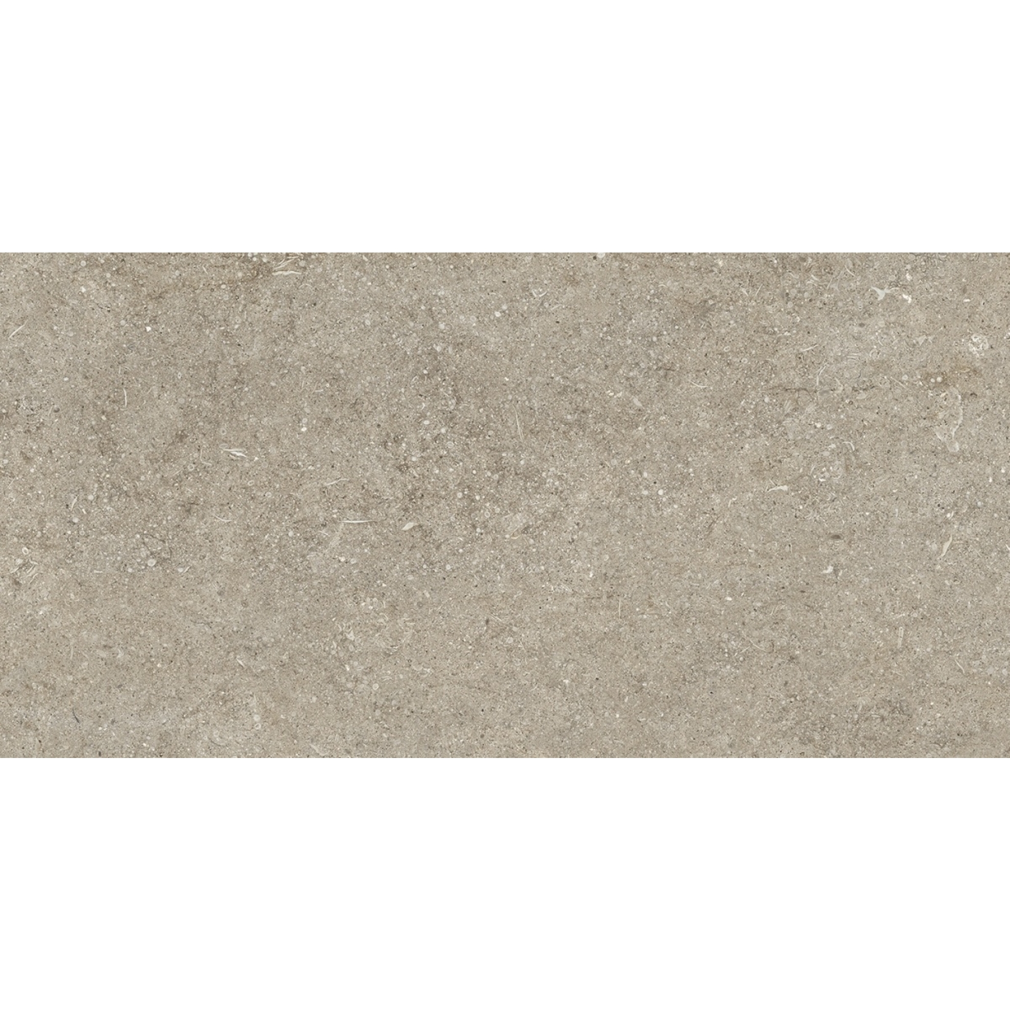 Florim Creative Design Sensi Ivory Fossil R+PTV Boden- und Wandfliese 60x120 cm