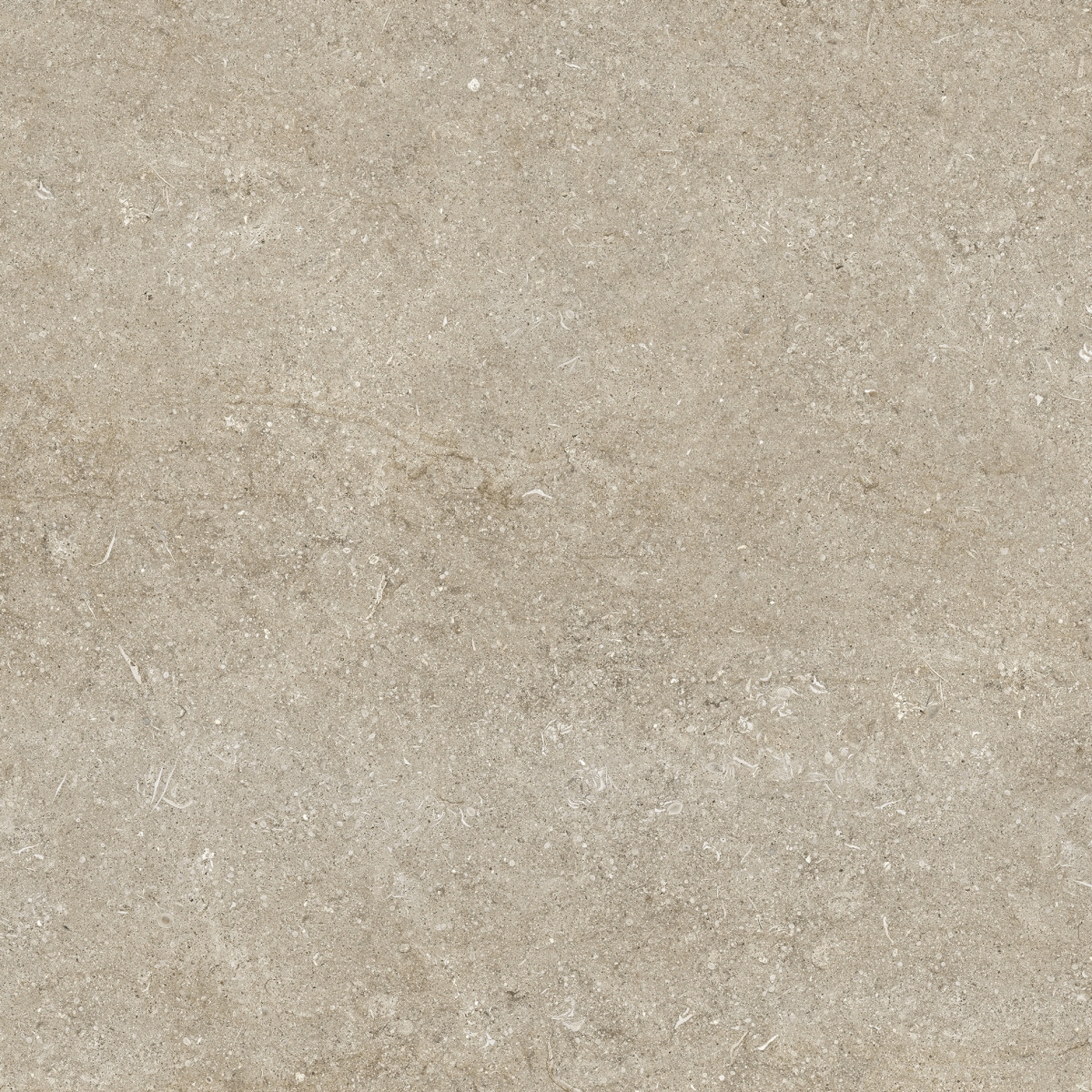 Florim Creative Design Sensi Ivory Fossil Natural Boden- und Wandfliese 80x80 cm
