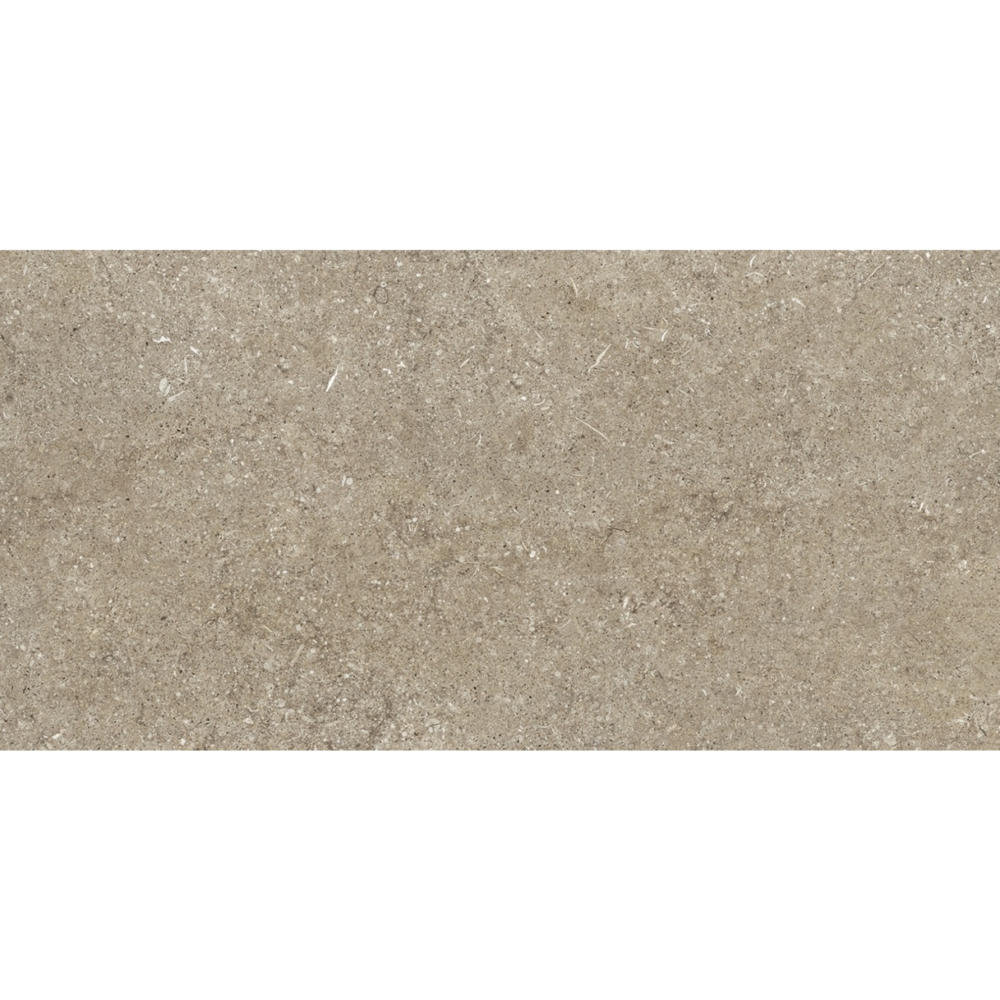 Florim Creative Design Sensi Taupe Fossil R+PTV Boden- und Wandfliese 60x120 cm