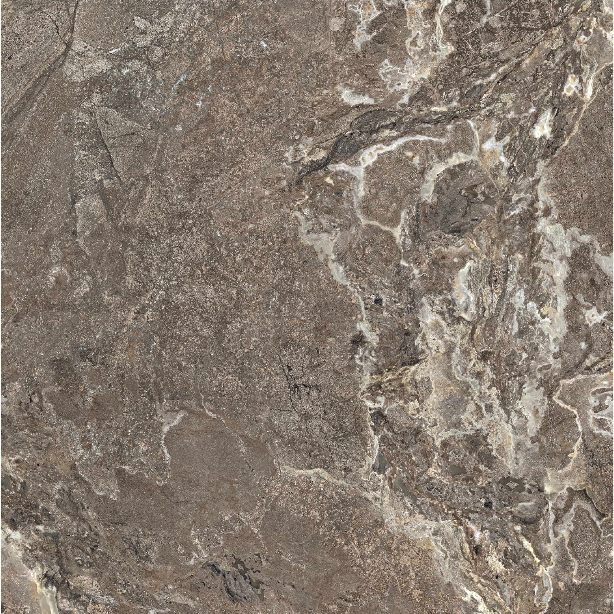 Florim Creative Design Onyx&More Golden Porphyry Strukturiert Boden- und Wandfliese 120x120 cm 6 mm