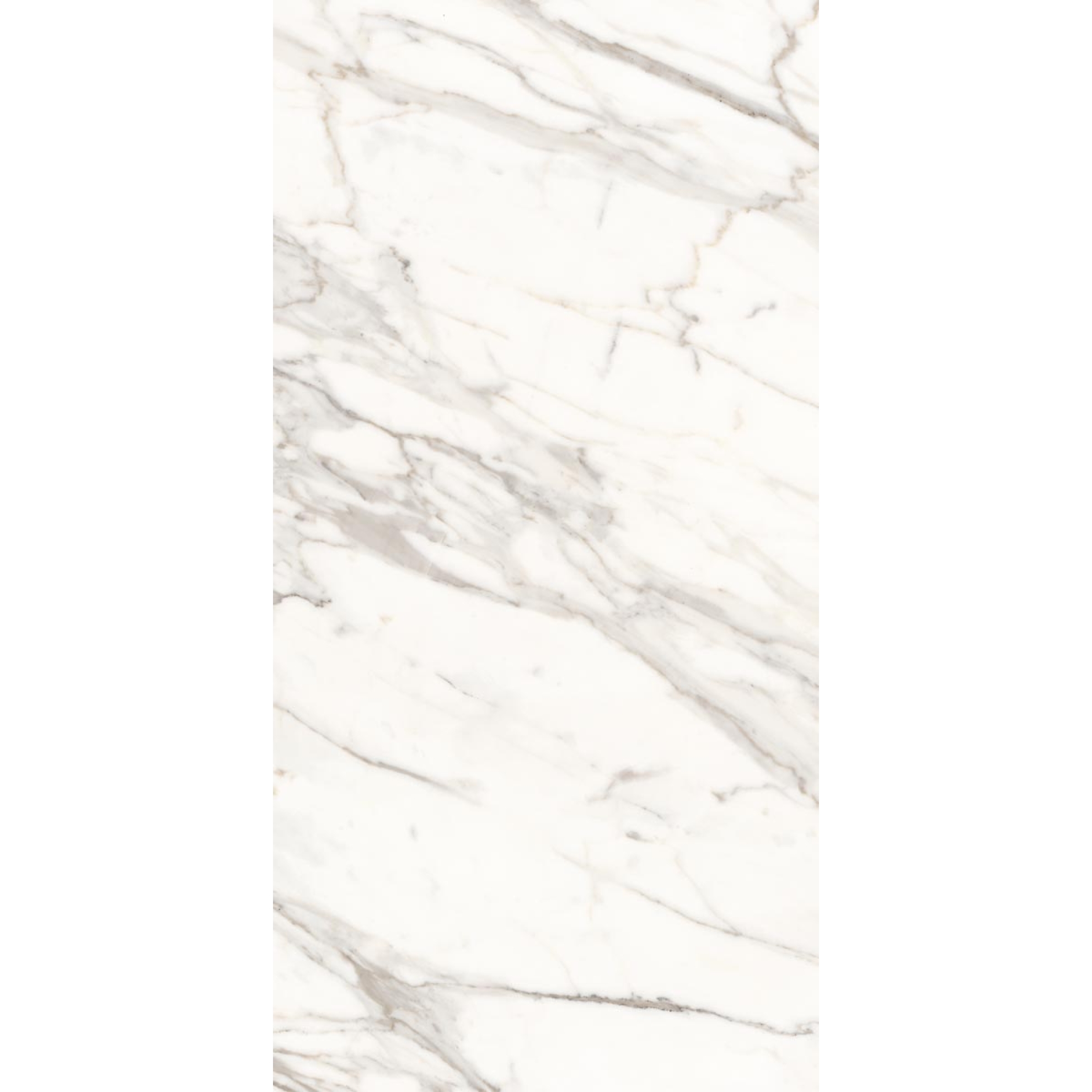 Keope Versilia Borghini White Boden- und Wandfliese 60x120 cm