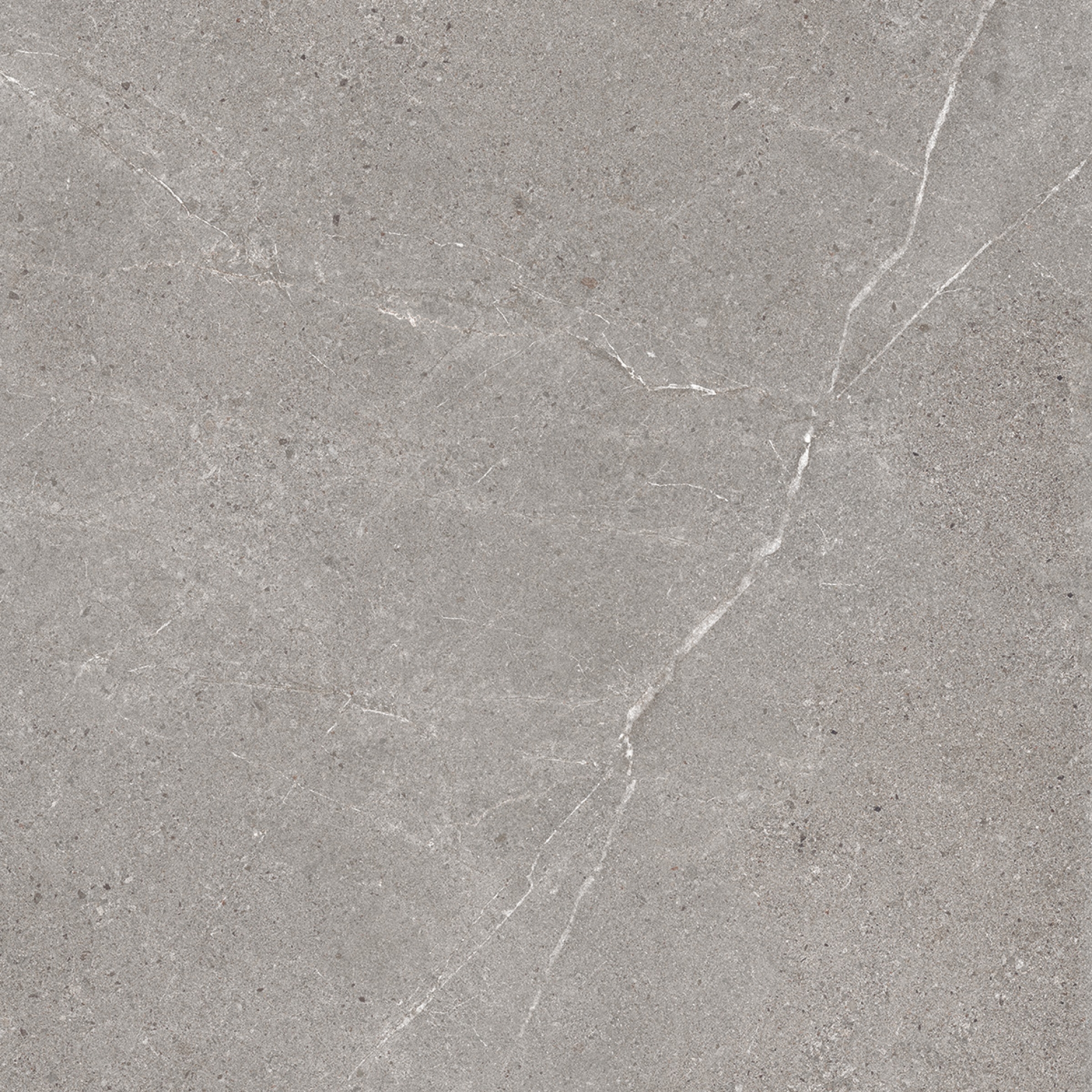 PrimeCollection Palladio Cenere Boden- und Wandfliese 60x60 cm