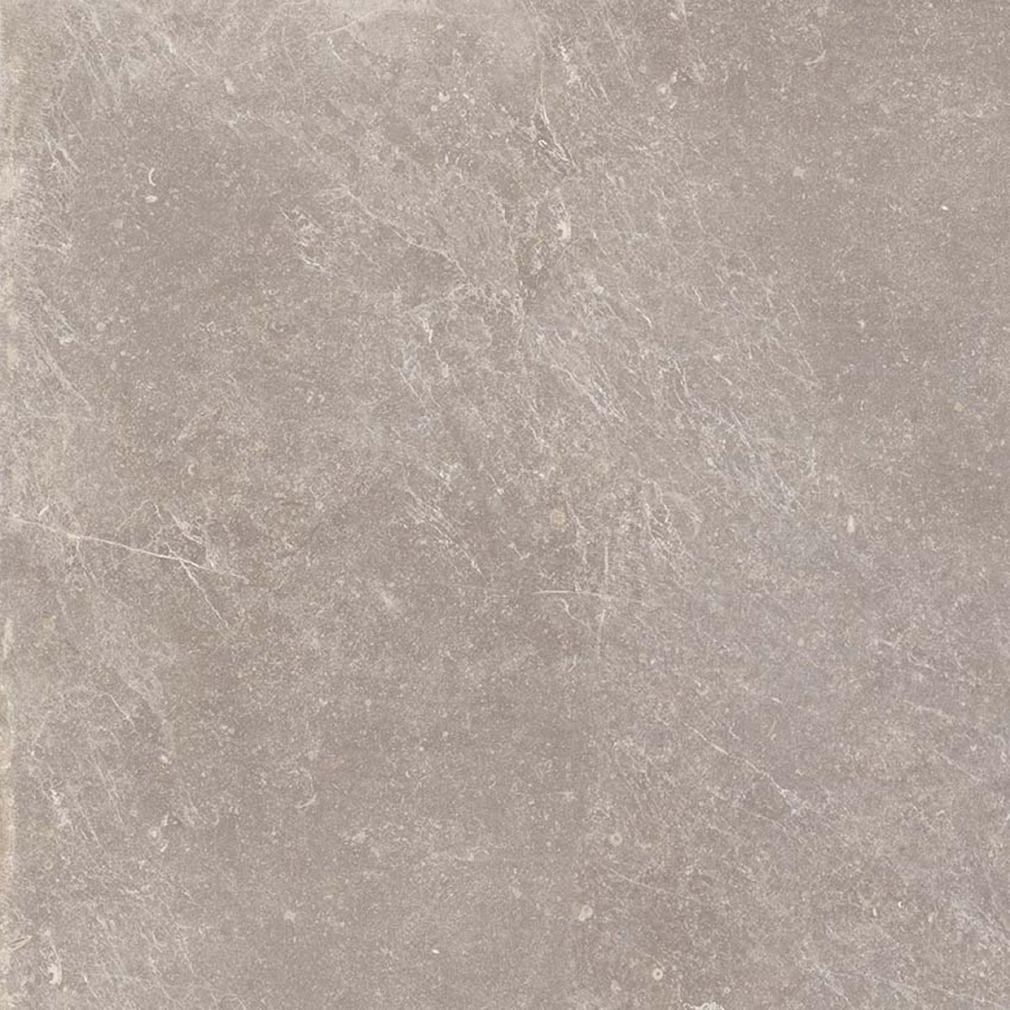 Keraben Bleuemix Boden- und Wandfliese Taupe Natural 60x60 cm