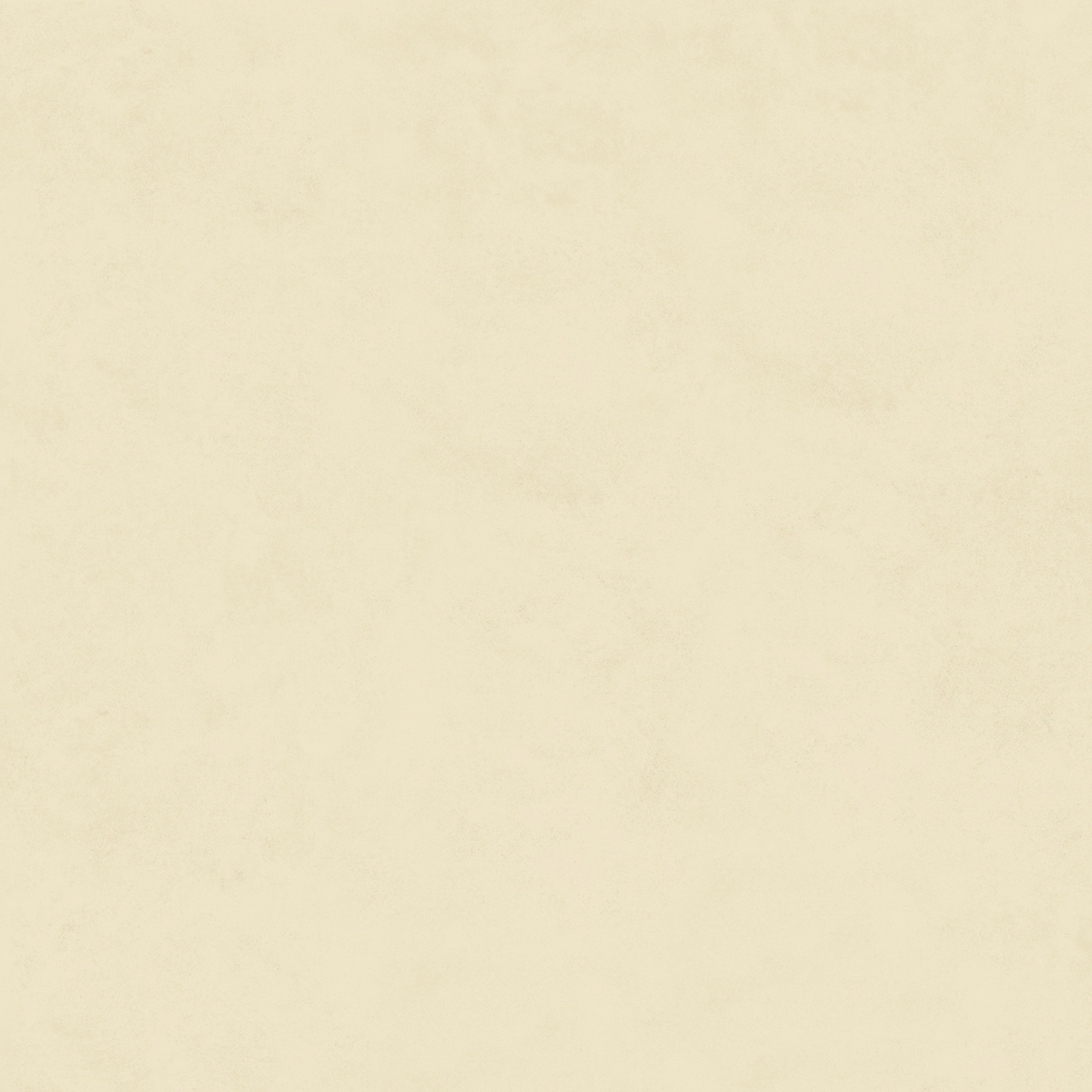 Margres Time 2.0 Snow Natur Boden- und Wandfliese 60x60 cm